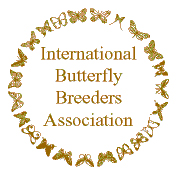 International Butterfly Breeders Association Seal